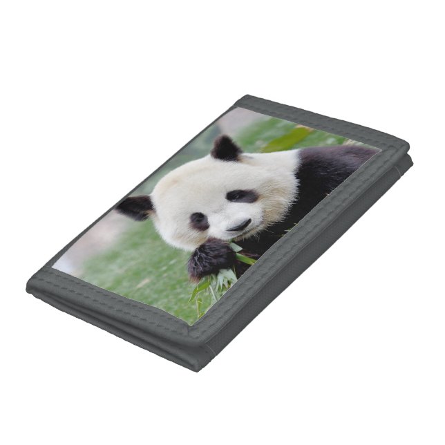 Trifold Wallet Photo giant panda , animals. (Bottom)