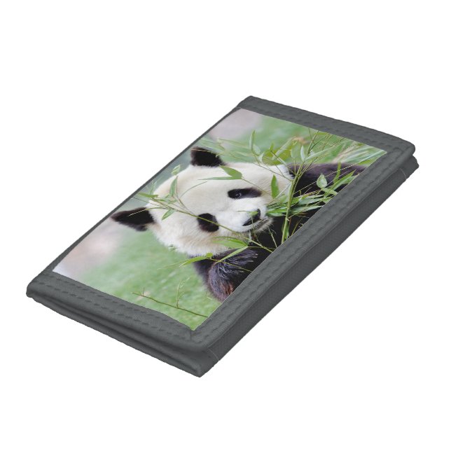 Trifold Wallet Photo giant panda , animals. (Bottom)