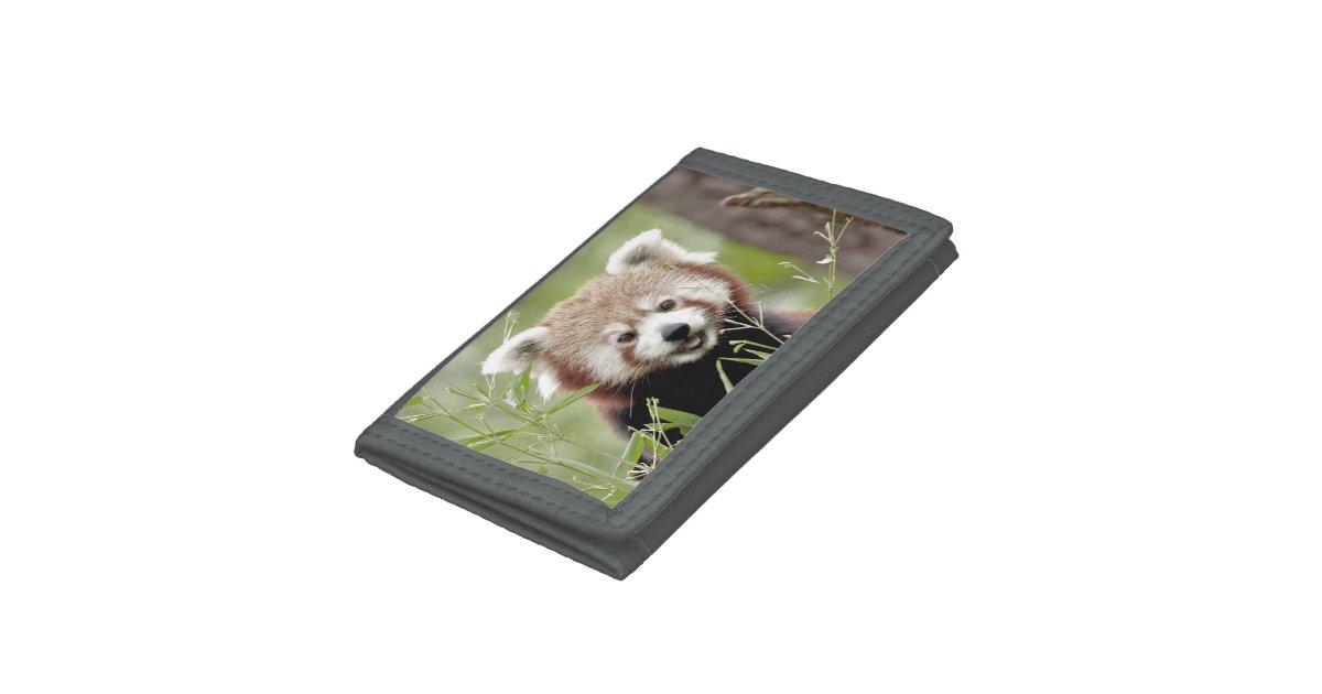 Trifold Wallet Photo red panda , animals. | Zazzle