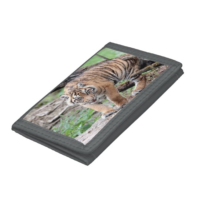 Trifold Wallet Photo tiger cat , animals. (Bottom)