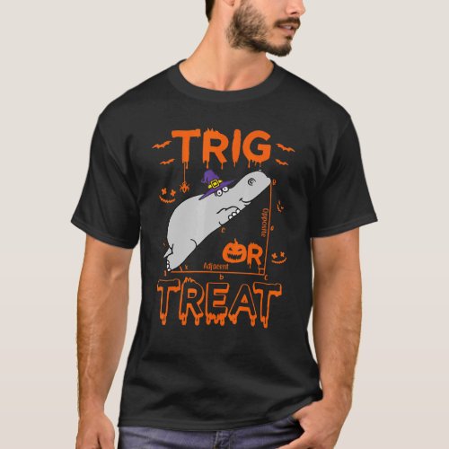 Trig Or Treat Hippopotamus Math Teacher Costume Ha T_Shirt