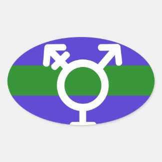 TRIGENDER FLAG AND SYMBOL OVAL STICKER