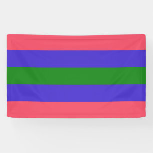 Trigender Pride Banner