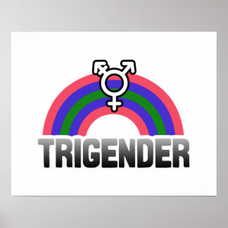 Trigender Pride Poster