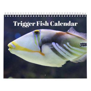 Trigger Fish 2027 Calendar