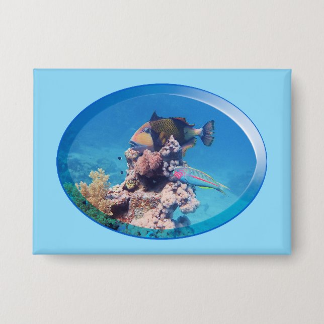 Triggerfish at coral reef - Photographic Design |  Button (Front)