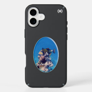 Triggerfish on Coral Top - Photographic Design | iPhone 16 Plus Case