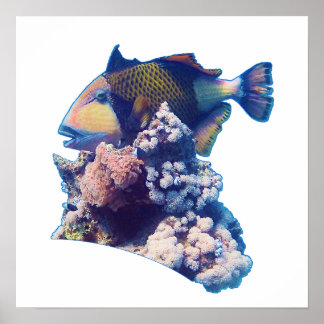 Triggerfish - Organic Crop View at Coral Reef |  Poster
