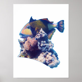 Triggerfish - Organic Crop View at Coral Reef |  Poster
