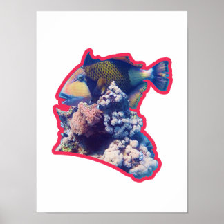 Triggerfish | Red-Bordered Organic Crop View |  Poster