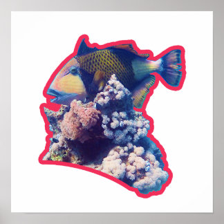 Triggerfish | Red-Bordered Organic Crop View |  Poster