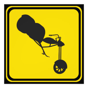 Trike Xing! Photo Print