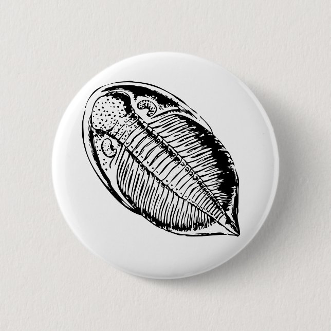 Triliobite fossil button (Front)