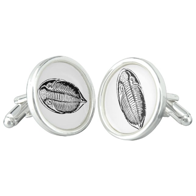 Triliobite fossil cufflinks (Angled)