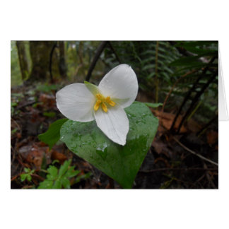 Trillium Cards