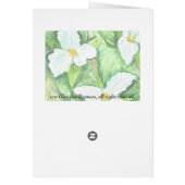 Trillium Cards (Back)
