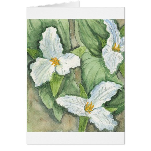 Trillium Cards (Front)