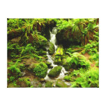 Trillium Falls at Redwood National Park Canvas Print