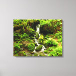 Trillium Falls at Redwood National Park Canvas Print