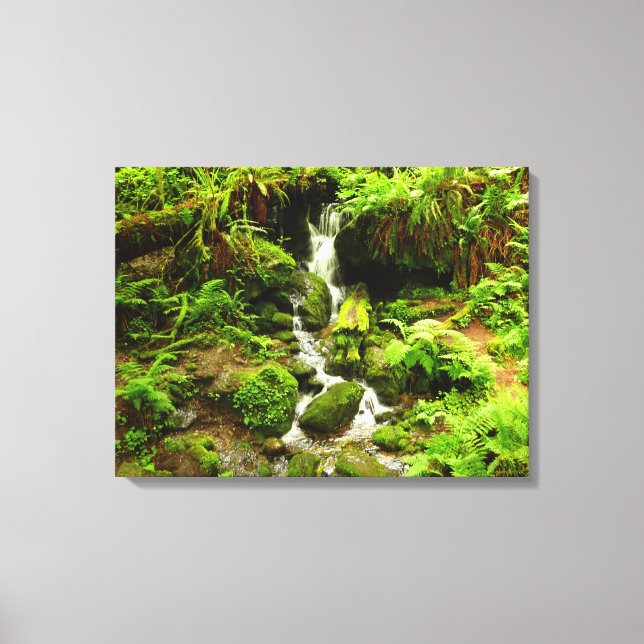 Trillium Falls at Redwood National Park Canvas Print (Front)