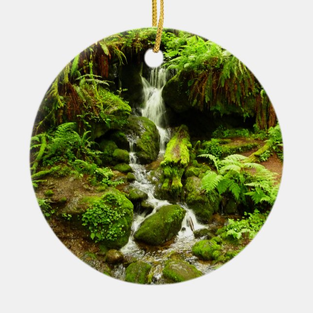 Trillium Falls at Redwood National Park Ceramic Ornament (Front)