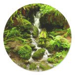 Trillium Falls at Redwood National Park Classic Round Sticker