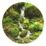 Trillium Falls at Redwood National Park Classic Round Sticker