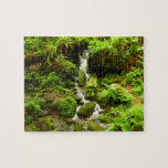 Trillium Falls at Redwood National Park Jigsaw Puzzle
