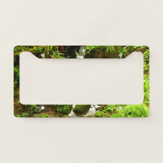 Trillium Falls at Redwood National Park License Plate Frame (Front)