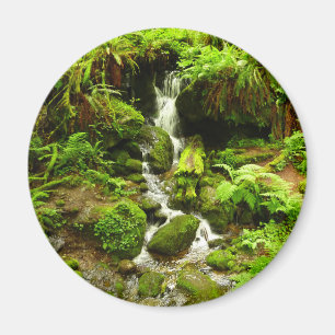 Trillium Falls at Redwood National Park Magnet