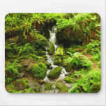 Trillium Falls at Redwood National Park Mouse Pad