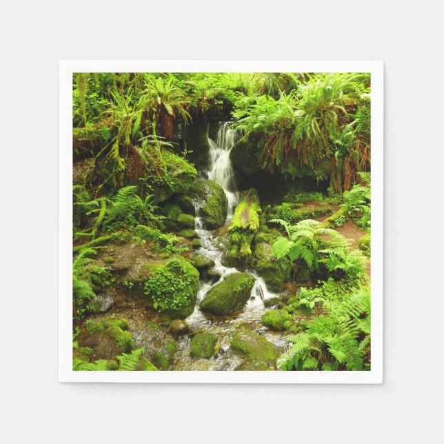 Trillium Falls at Redwood National Park Napkins (Front)