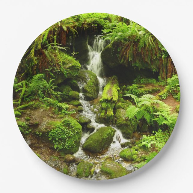 Trillium Falls at Redwood National Park Paper Plates (Front)