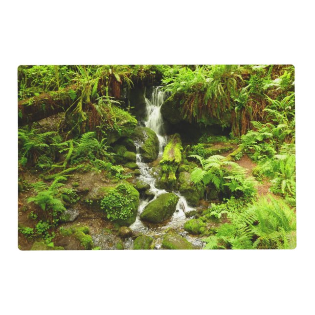 Trillium Falls at Redwood National Park Placemat (Front)