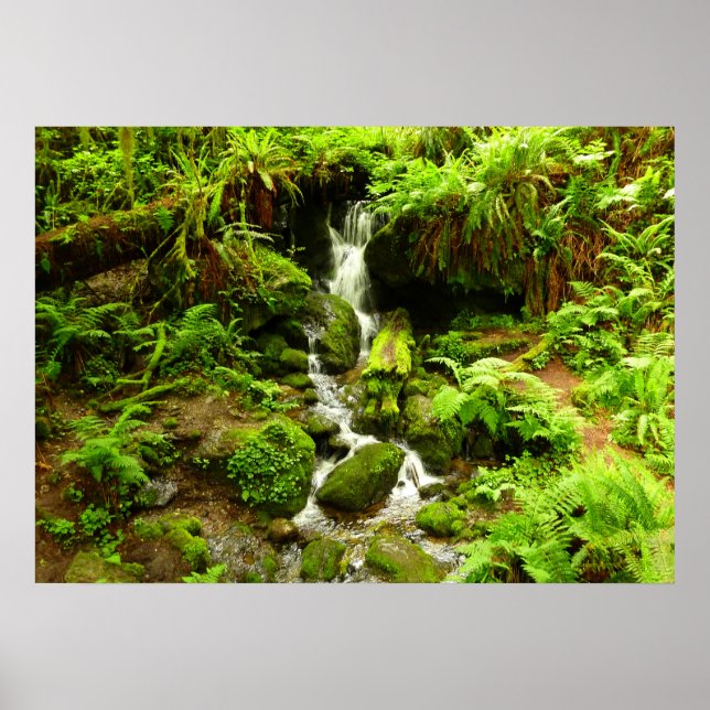 Trillium Falls at Redwood National Park Poster (Front)