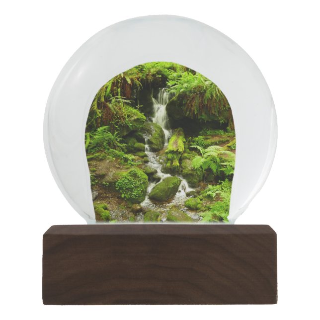 Trillium Falls at Redwood National Park Snow Globe (Front)