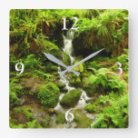 Trillium Falls at Redwood National Park Square Wall Clock
