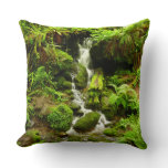 Trillium Falls at Redwood National Park Throw Pillow