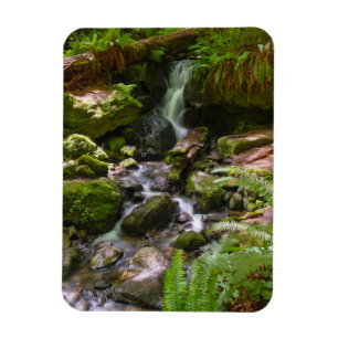 Trillium Falls Redwood National Park California Magnet