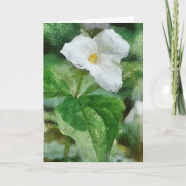 Trillium Flower Greeting Card Artwork (Front)