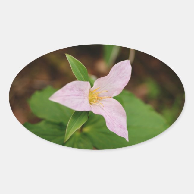 Trillium Flower Oval Sticker (Front)