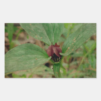 Trillium Flower Rectangular Sticker
