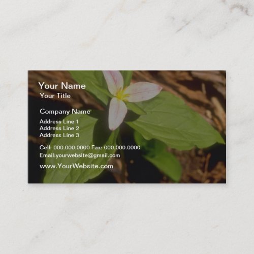Trillium flowers business card templates