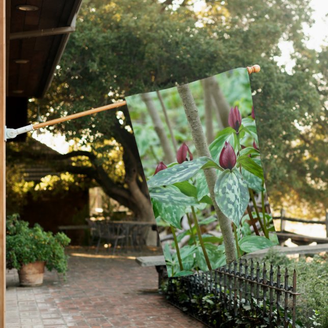 Trillium Forest House Flag (In SItu)