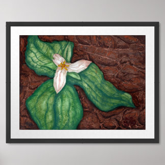 Trillium in Autumn Serene Watercolor Wildflower Framed Art