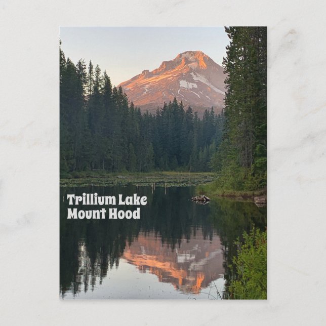 Trillium Lake Mount Hood Sunset Reflections Travel Postcard (Front)