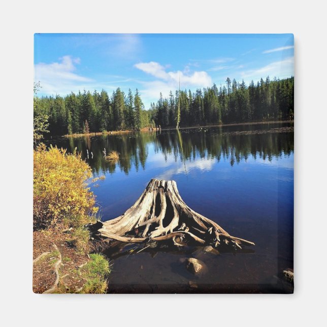Trillium Lake, OR Magnet (Front)