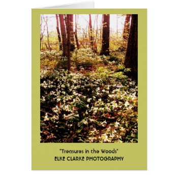 Trillium Treasures In The Woods by epclarke at Zazzle