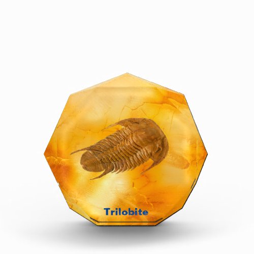 Trilobite Acrylic Award