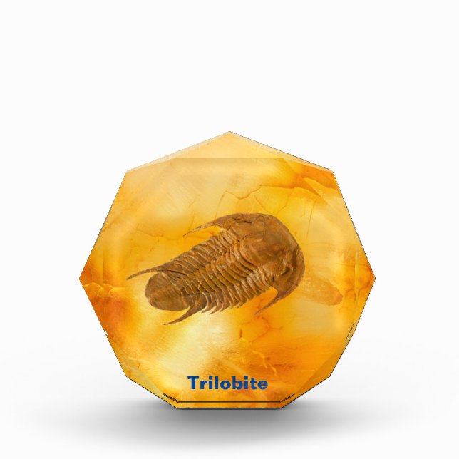 Trilobite Acrylic Award (Front)